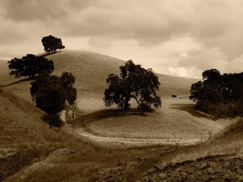 sudoku pattern learning screenshot 5